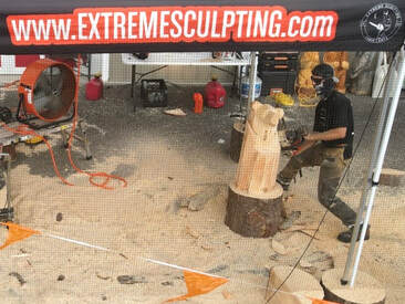 Picture of chainsaw carver making a bear